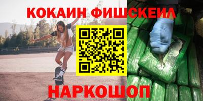 индика Камышлов