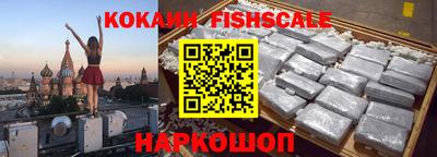 индика Камышлов
