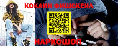 индика Камышлов