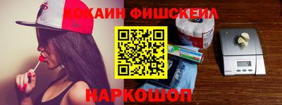 индика Камышлов