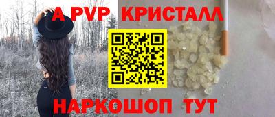индика Камышлов
