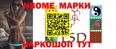 индика Камышлов