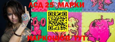 индика Камышлов