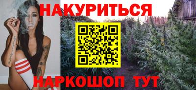 индика Камышлов