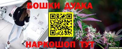 индика Камышлов