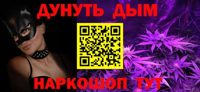 индика Камышлов