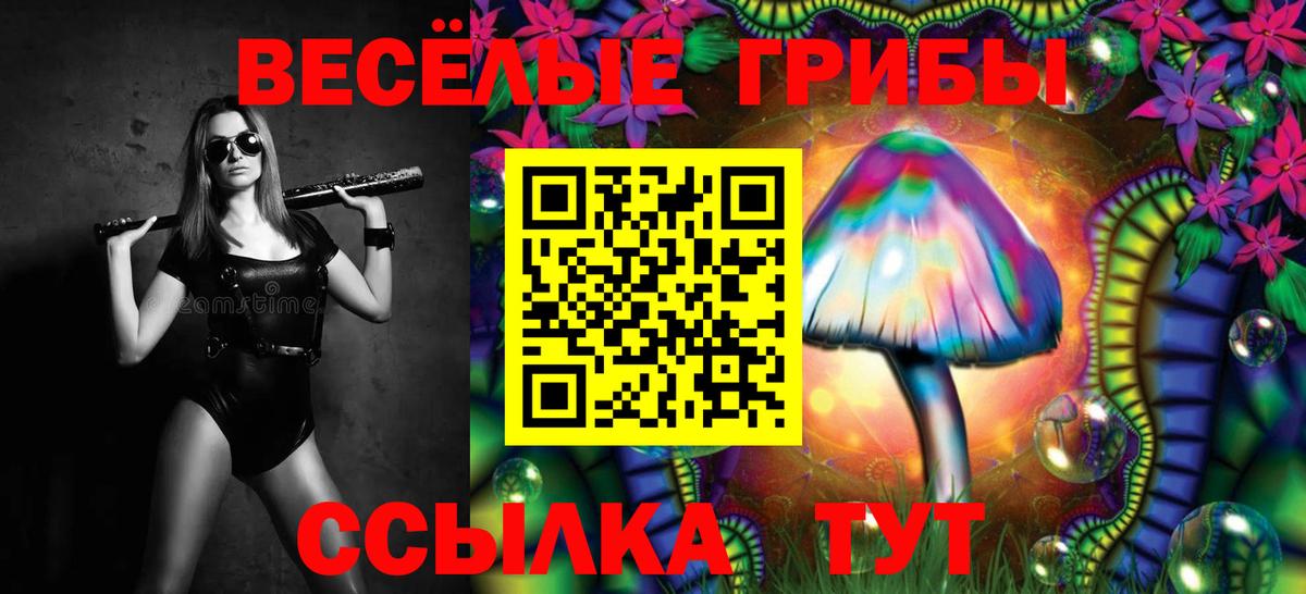 Галлюциногенные грибы прущие грибы Углич